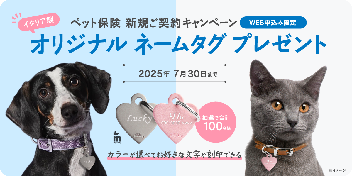 新規ご契約プレゼントキャンペーン