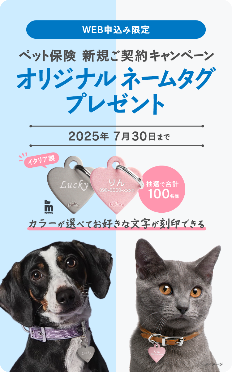 新規ご契約プレゼントキャンペーン