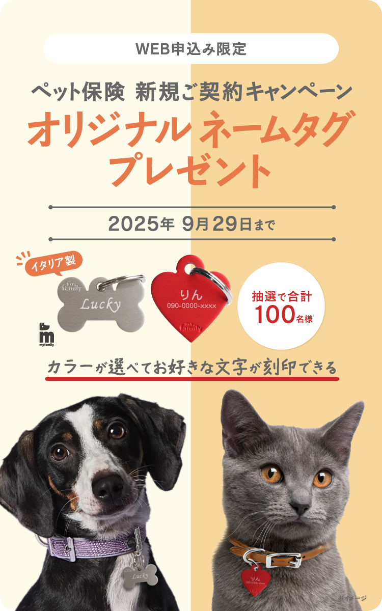 新規ご契約プレゼントキャンペーン