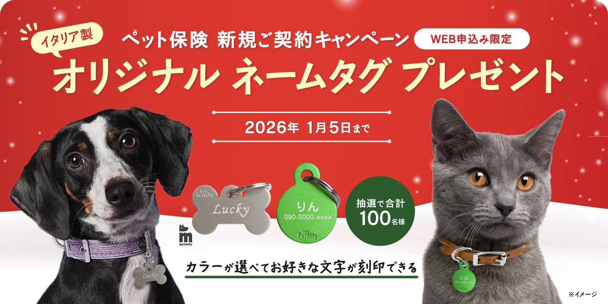 新規ご契約プレゼントキャンペーン