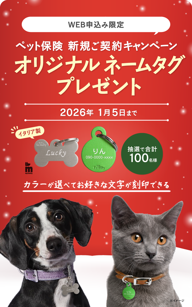 新規ご契約プレゼントキャンペーン