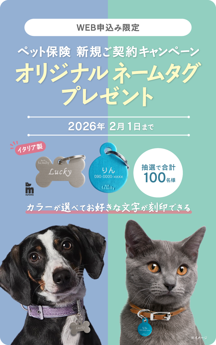 新規ご契約プレゼントキャンペーン