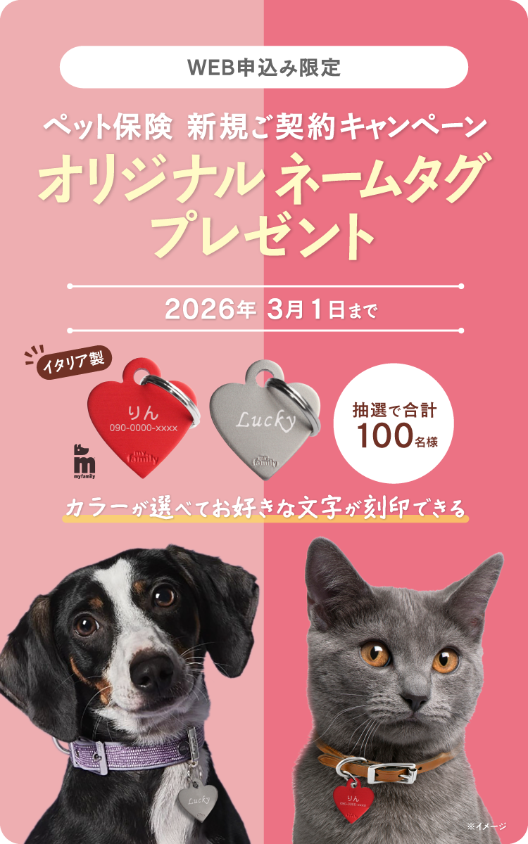 新規ご契約プレゼントキャンペーン