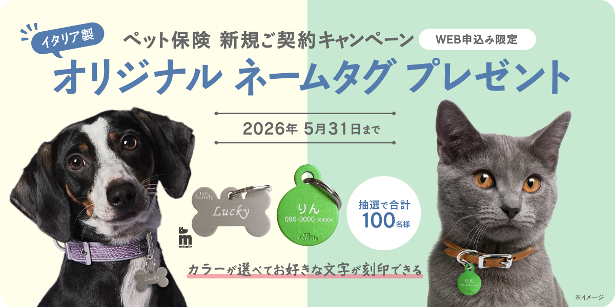 新規ご契約プレゼントキャンペーン
