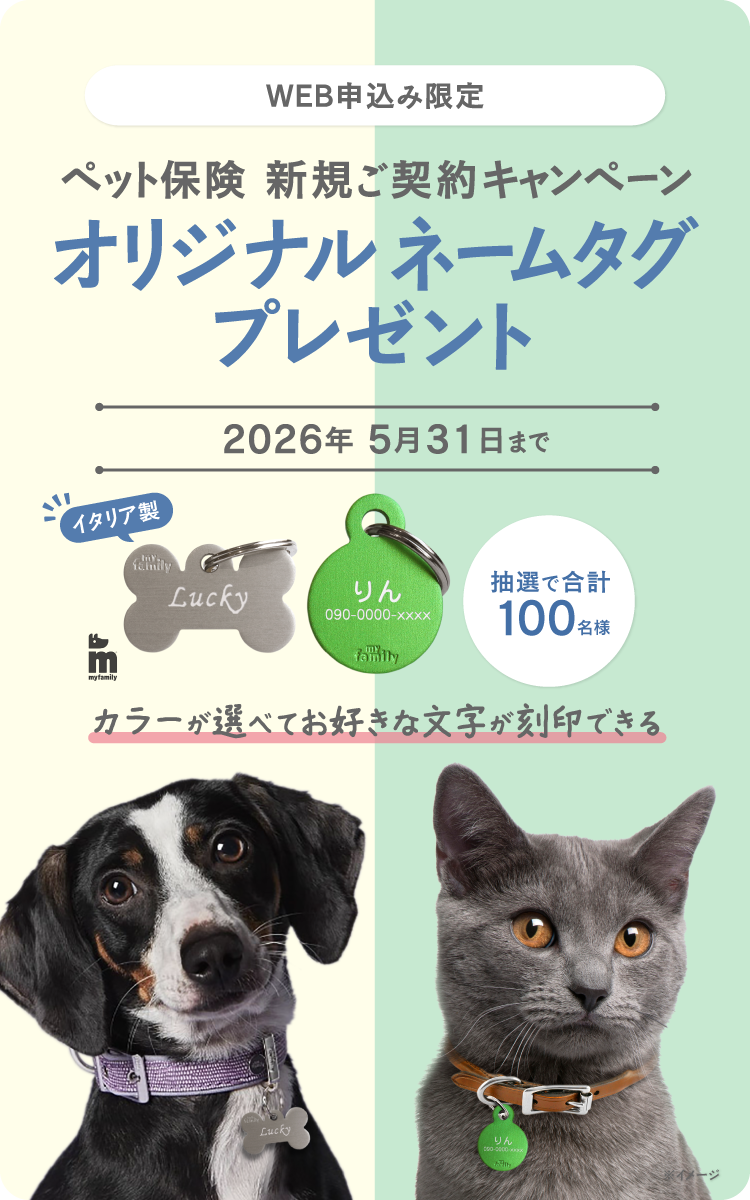 新規ご契約プレゼントキャンペーン