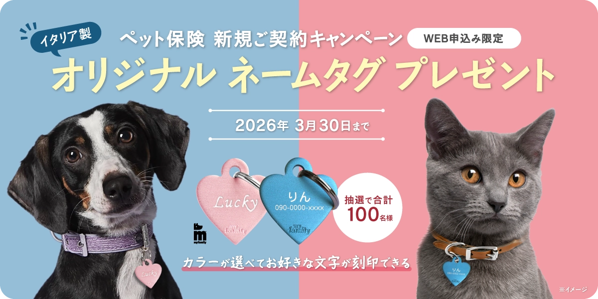 新規ご契約プレゼントキャンペーン